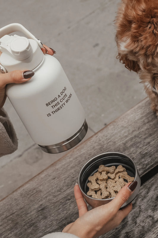 ByTeddy 3-in-1 kulacs