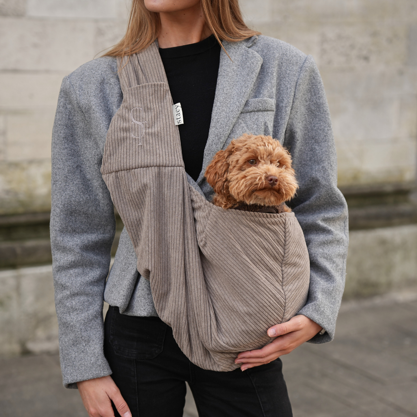 Staey Ava kutyahordozó - Corduroy