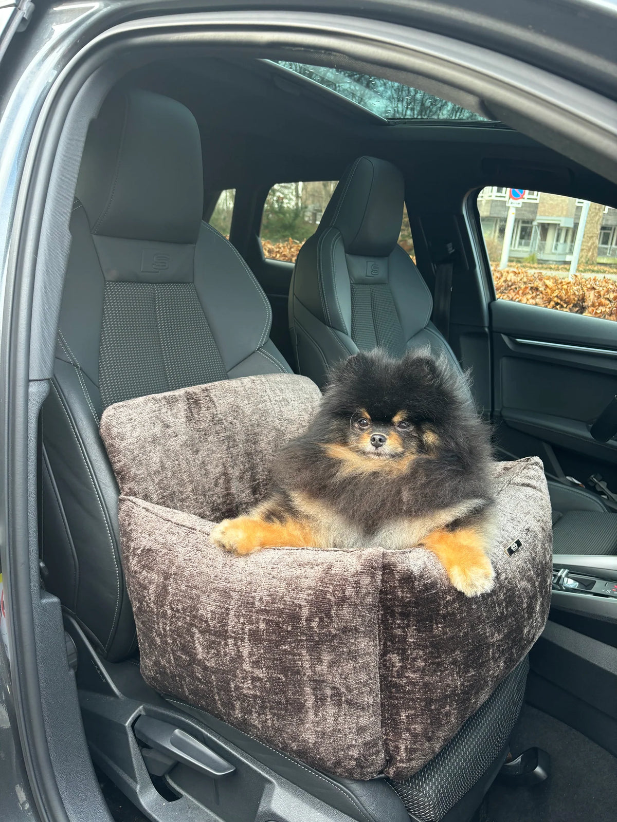 Elite Puppy Miu autósülés