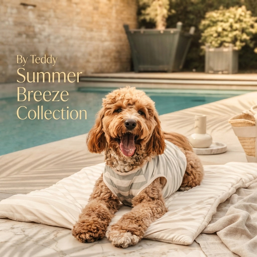 By Teddy Summer Breeze