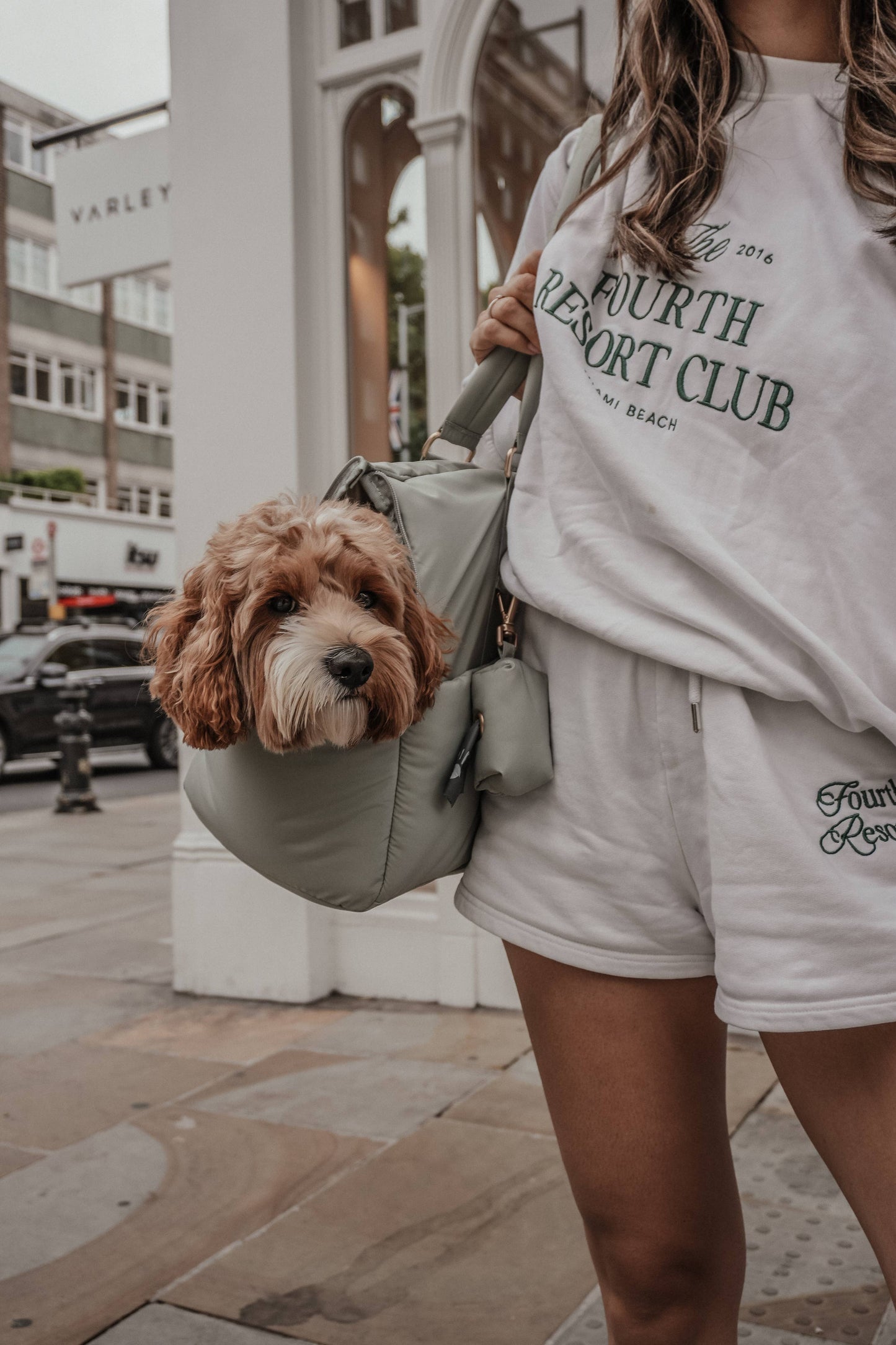 By Teddy The Puffer Carrier Matcha - Kutyahordozó táska