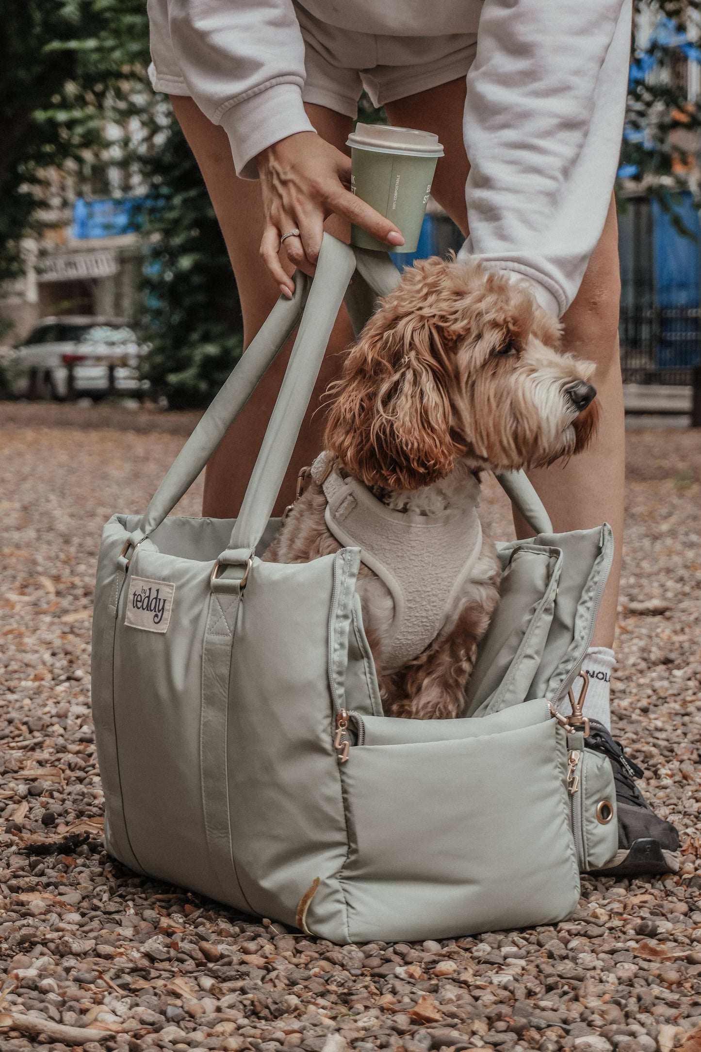 By Teddy The Puffer Carrier Matcha - Kutyahordozó táska