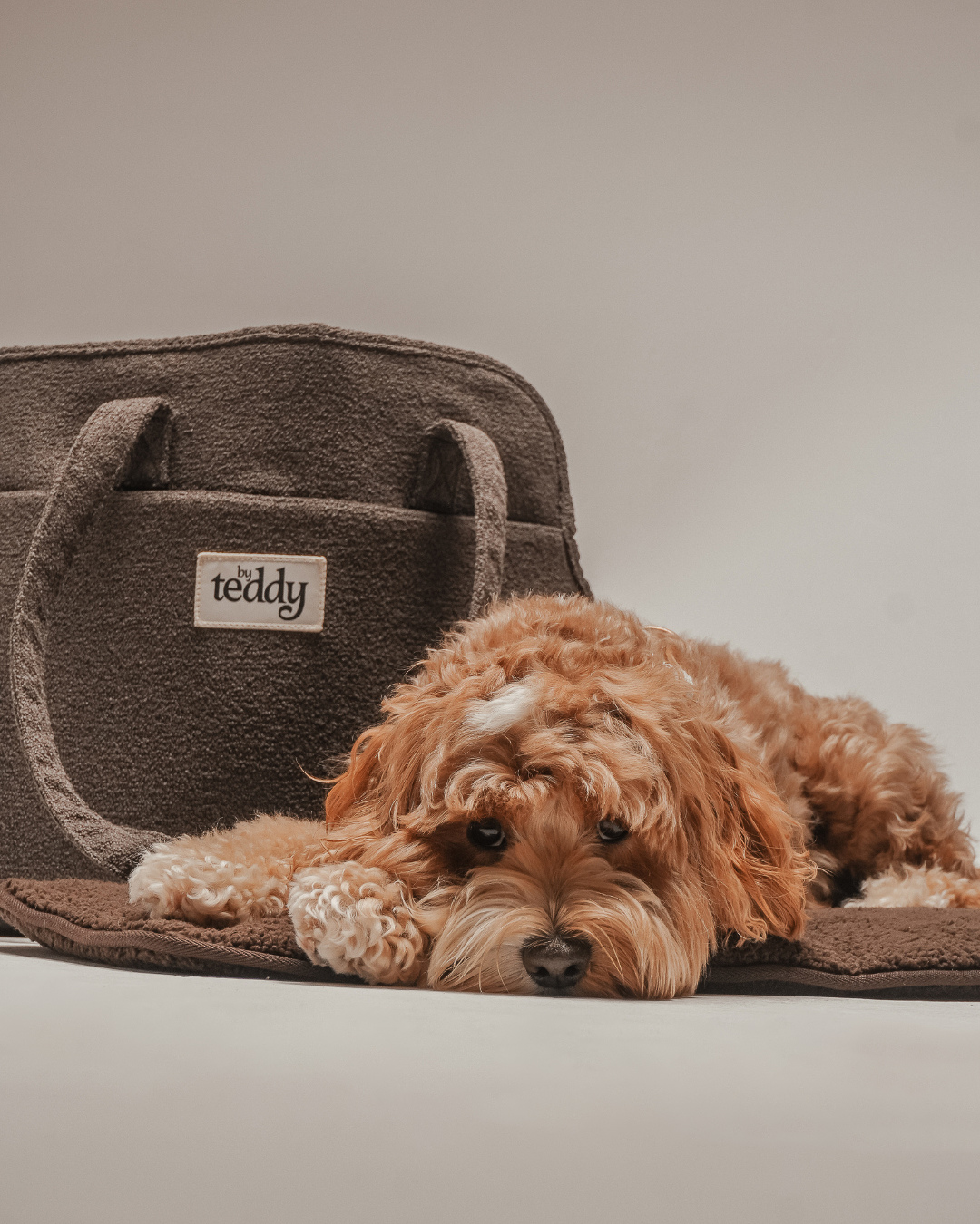 By Teddy The Bouclé Carrier kutyatáska