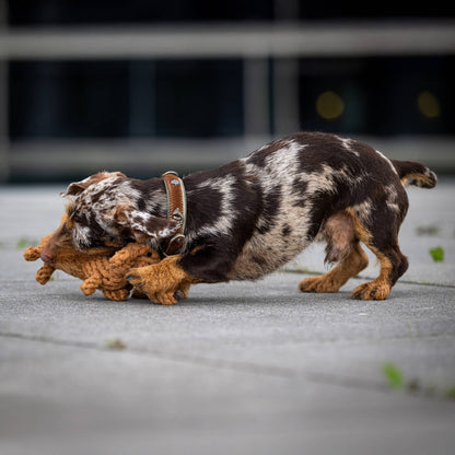 Laboni DIEGO DACKEL – The Trend Toy Every Dog Wants kutyajáték