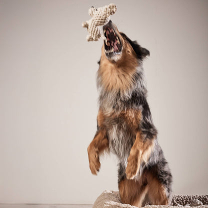 Laboni TAPSI – Puppy Charm kutyajáték