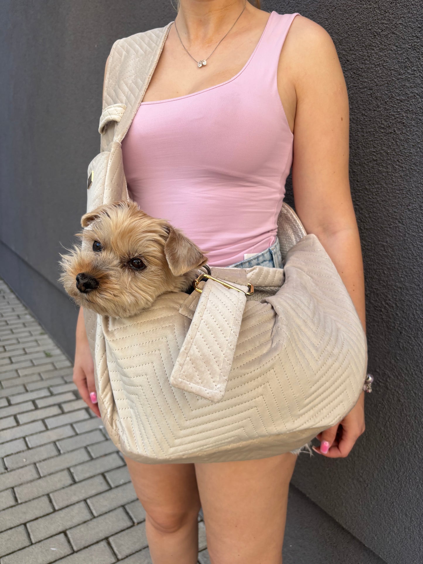 Elite Puppy Velvet hordozó