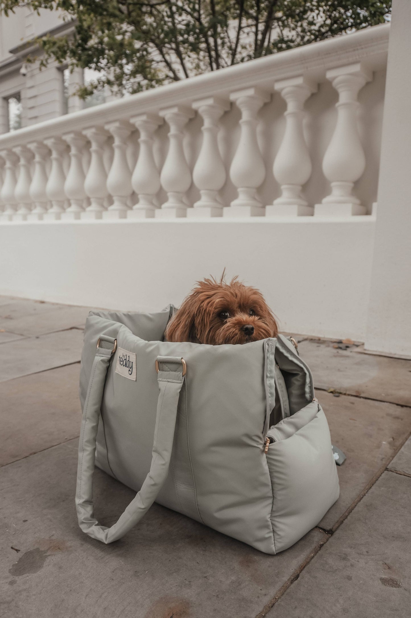 By Teddy The Puffer Carrier Matcha - Kutyahordozó táska