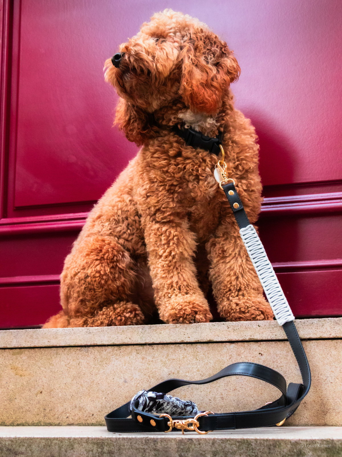 Blue Pup Hands-Free Prémium Póráz 3 az 1-ben műbőr