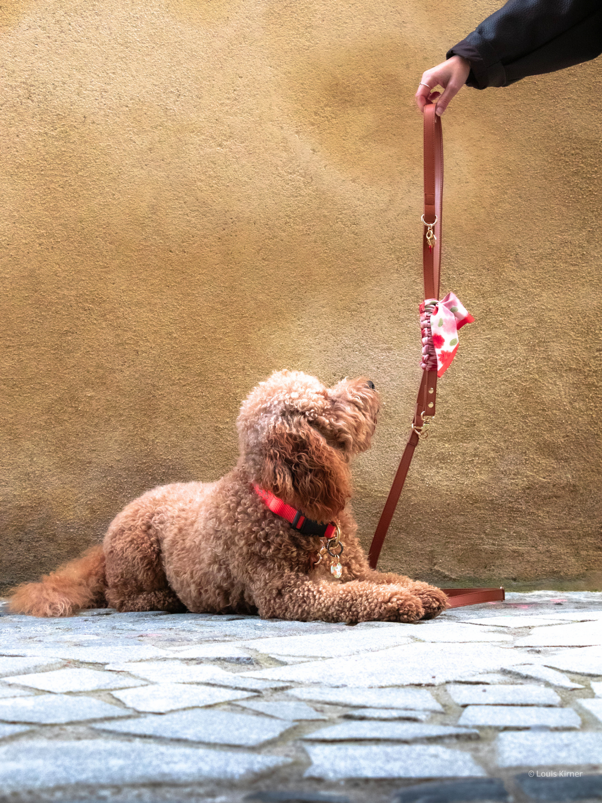 Blue Pup Hands-Free Prémium Póráz 3 az 1-ben