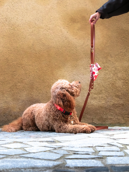 Blue Pup Hands-Free Prémium Póráz 3 az 1-ben