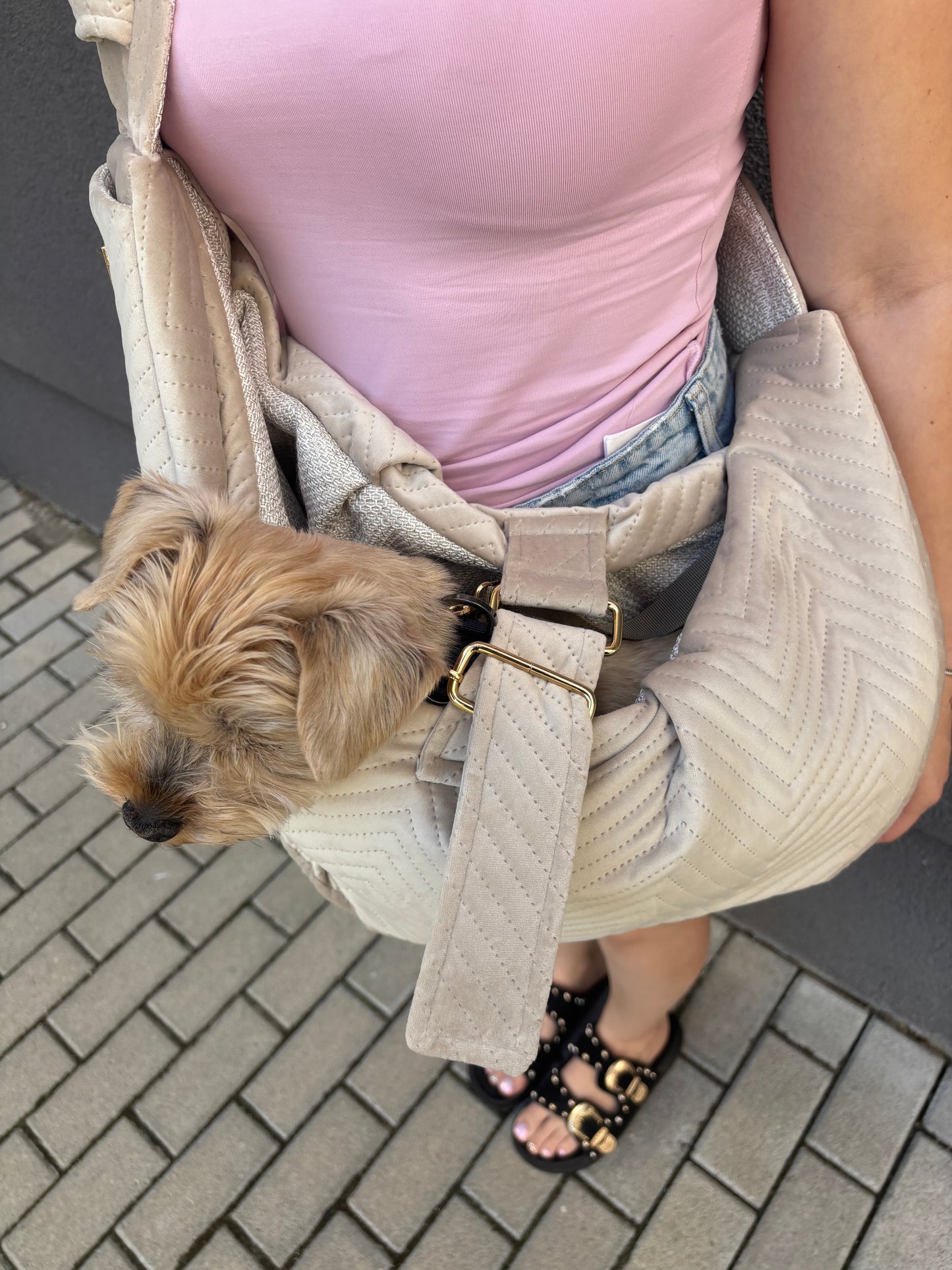 Elite Puppy Velvet hordozó