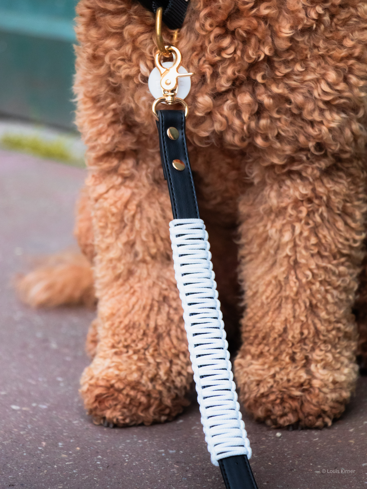 Blue Pup Hands-Free Prémium Póráz 3 az 1-ben műbőr