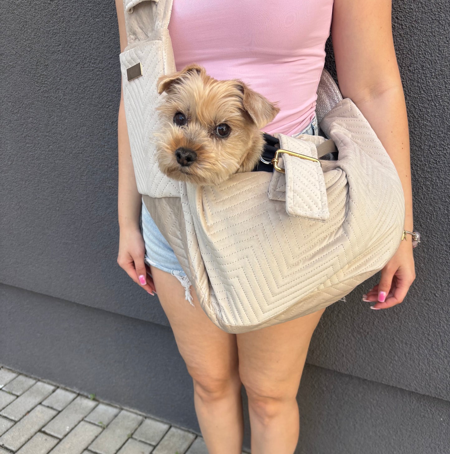 Elite Puppy Velvet hordozó