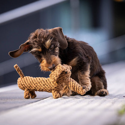 Laboni DIEGO DACKEL – The Trend Toy Every Dog Wants kutyajáték