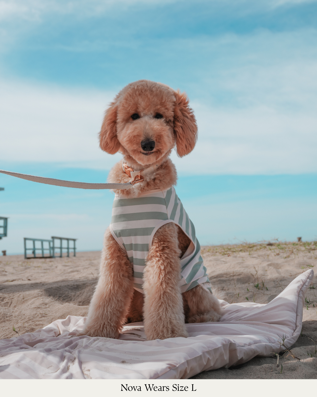 By Teddy hűsítő mellény kutyáknak matcha színbe