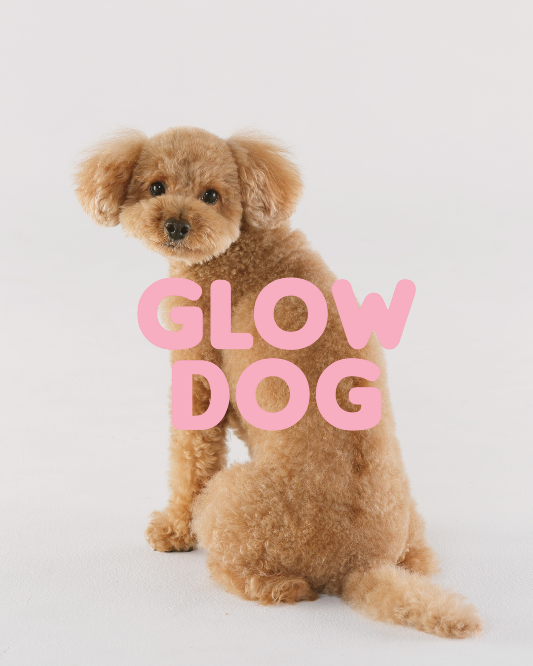 Glow Dog 2 az 1-ben Vitaminos Sampon & kondicionáló kutyáknak