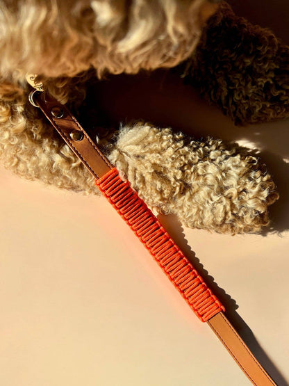 Blue Pup Hands-Free Prémium Póráz 3 az 1-ben