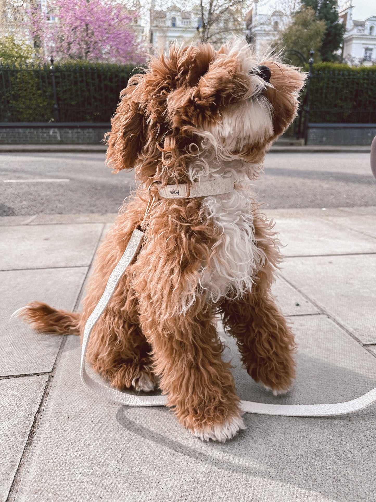 ByTeddy Bouclé nyakörv