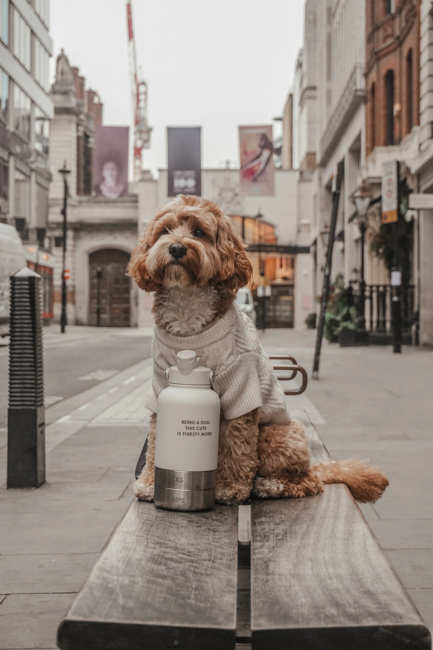 ByTeddy 3-in-1 kulacs