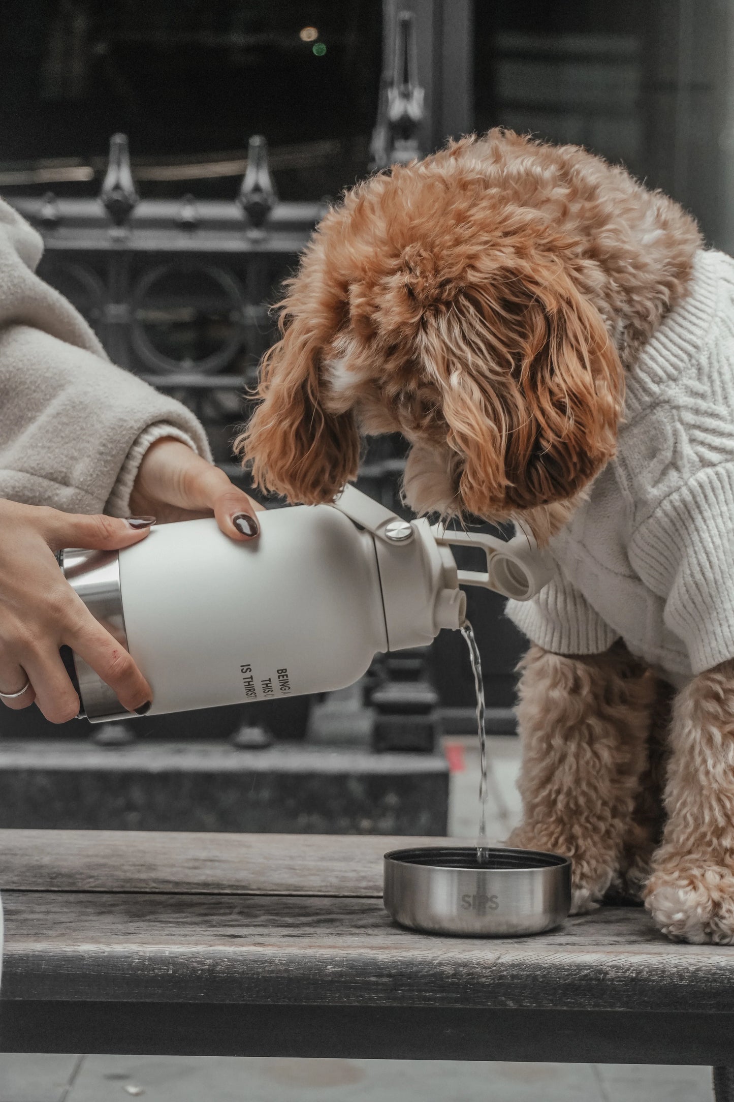 ByTeddy 3-in-1 kulacs