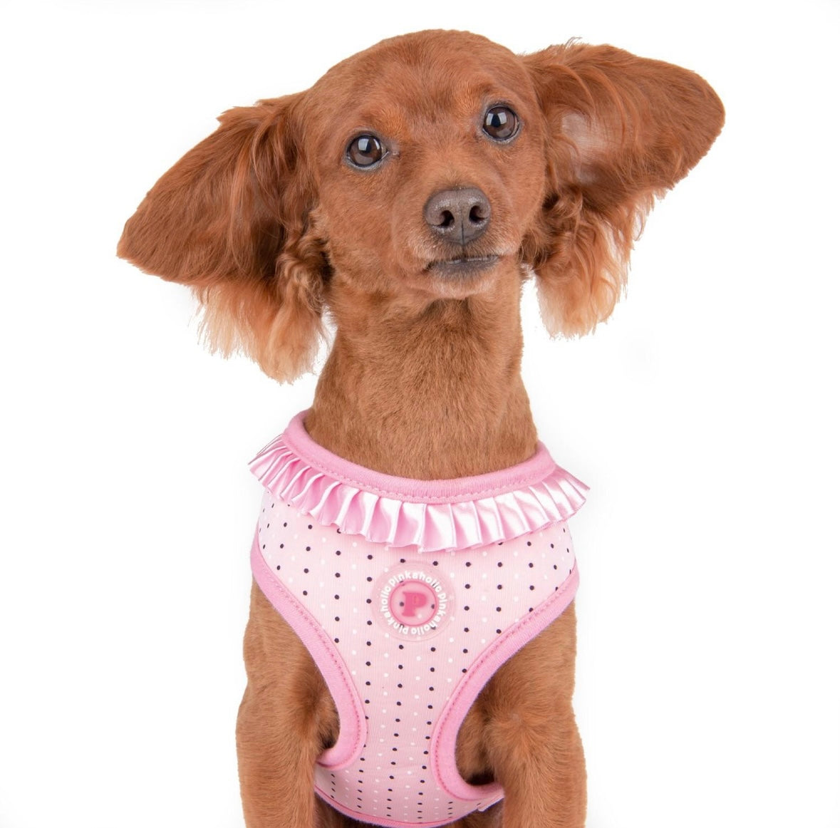 Pinkaholic Mila kutyahám