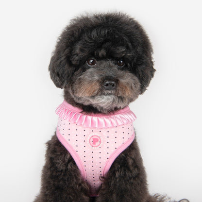 Pinkaholic Mila kutyahám