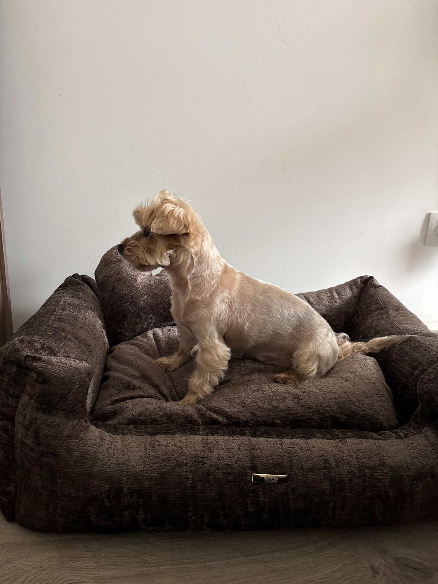 Elite Puppy Miu kutyaágy