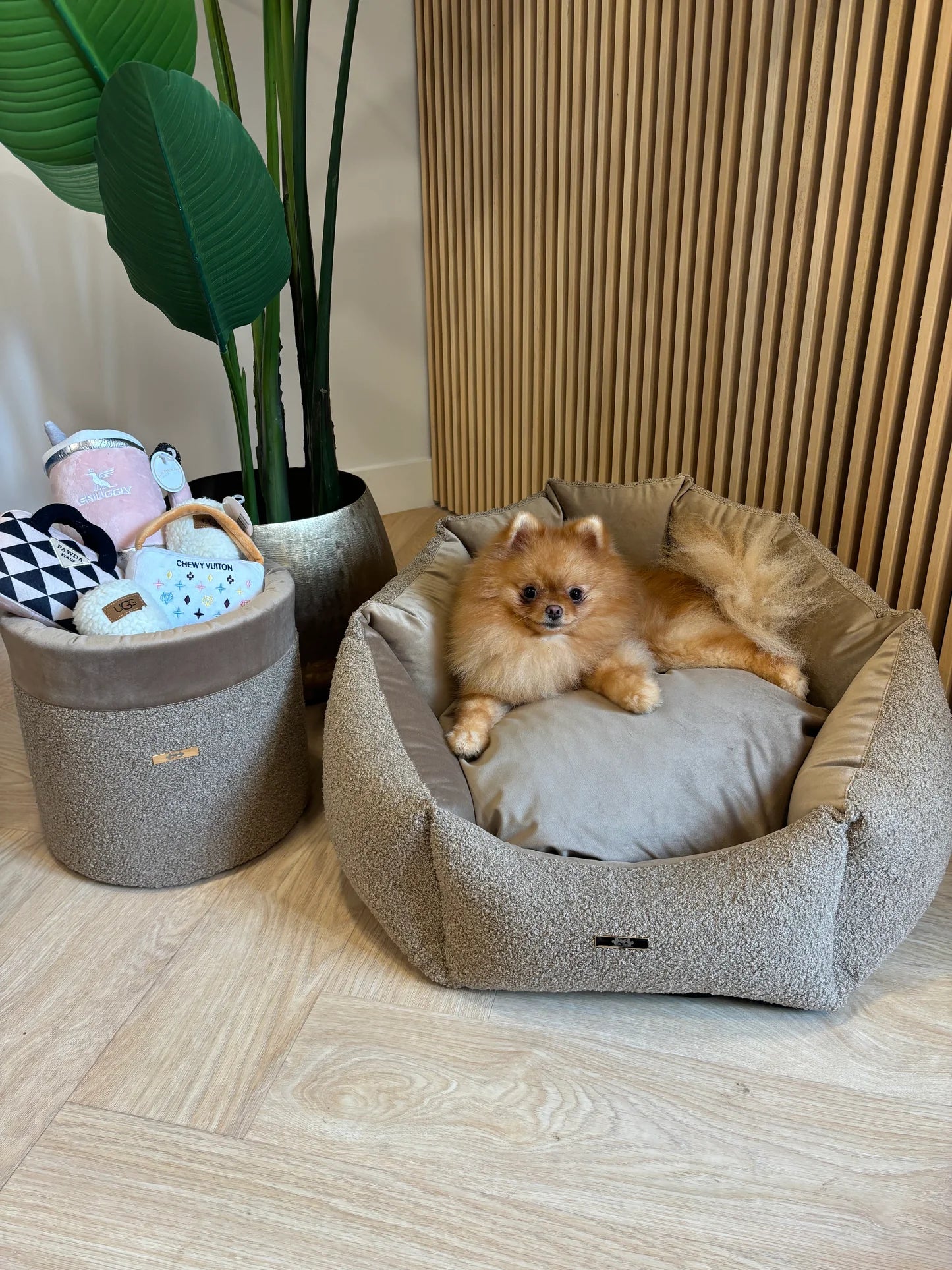 Elite Puppy szett luxus kutyaágy + játéktároló box