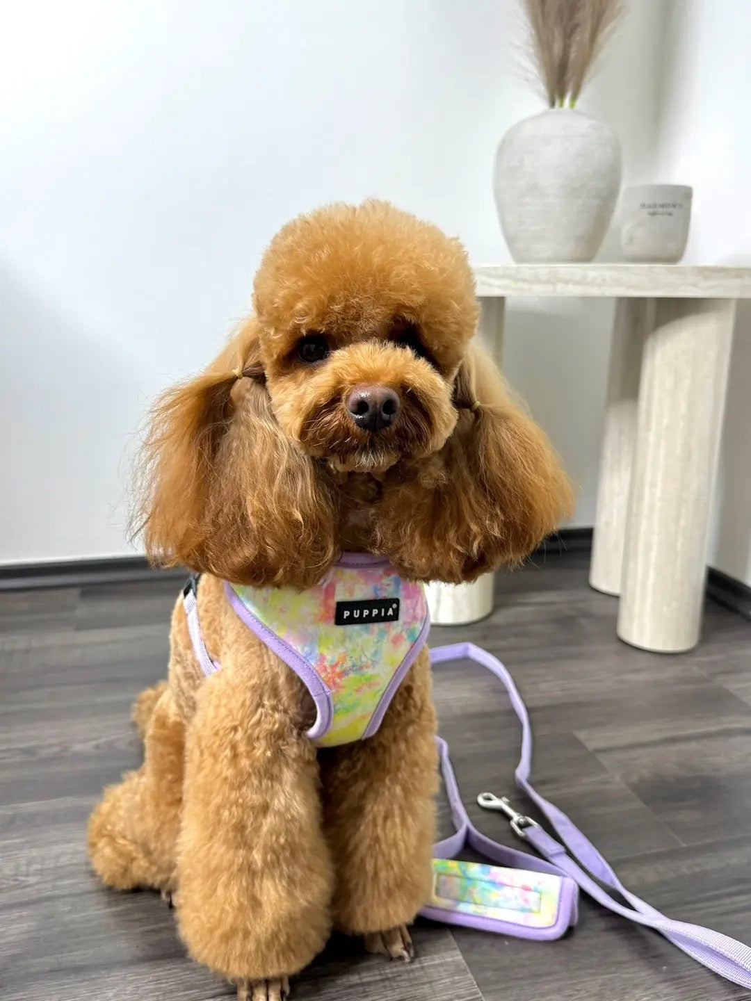 PUPPIA tavaszi/nyári kutyahám