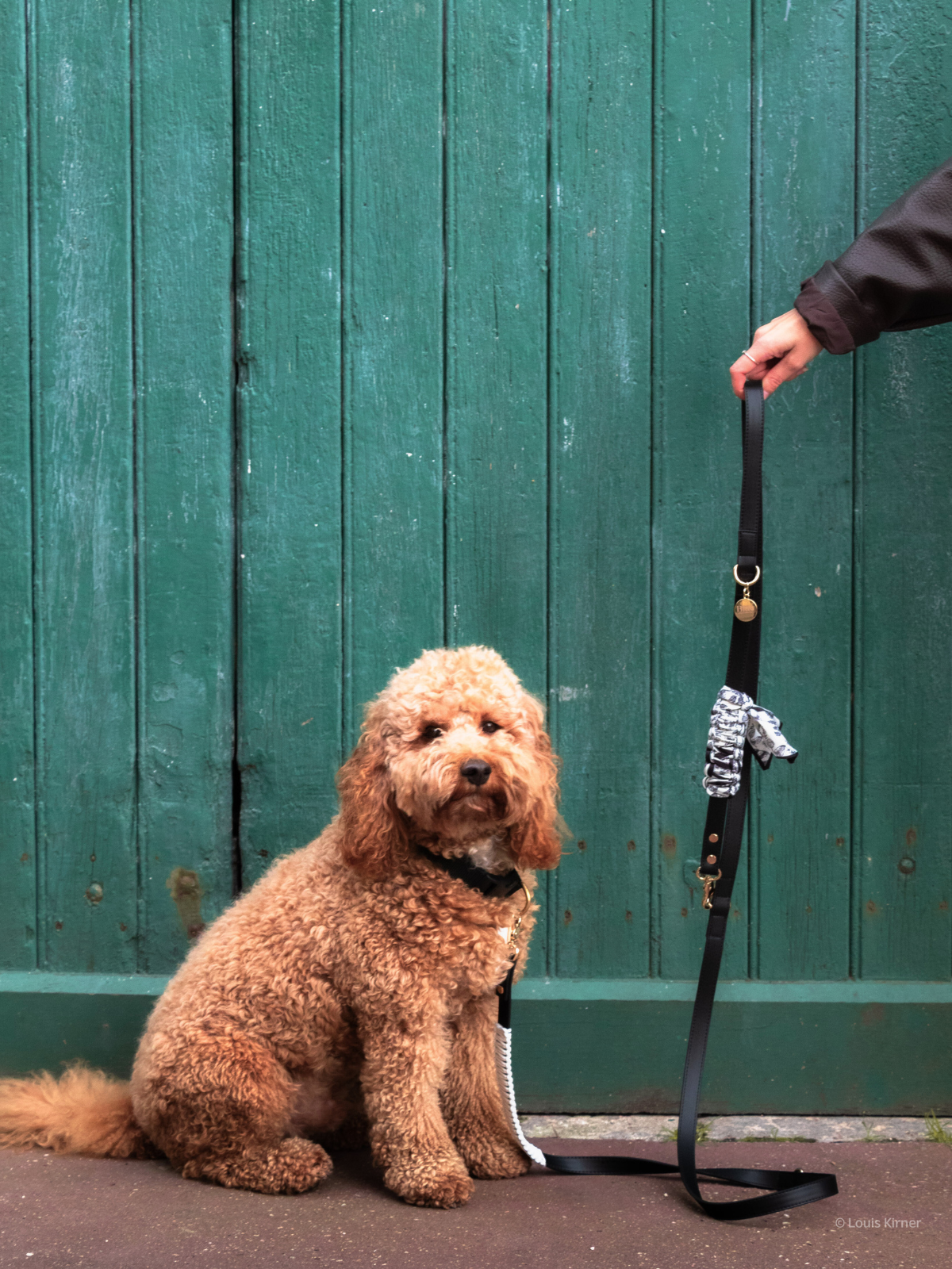 Blue Pup Hands-Free Prémium Póráz 3 az 1-ben műbőr