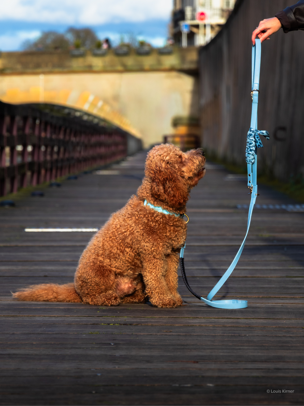 Blue Pup Hands-Free Prémium Póráz 3 az 1-ben