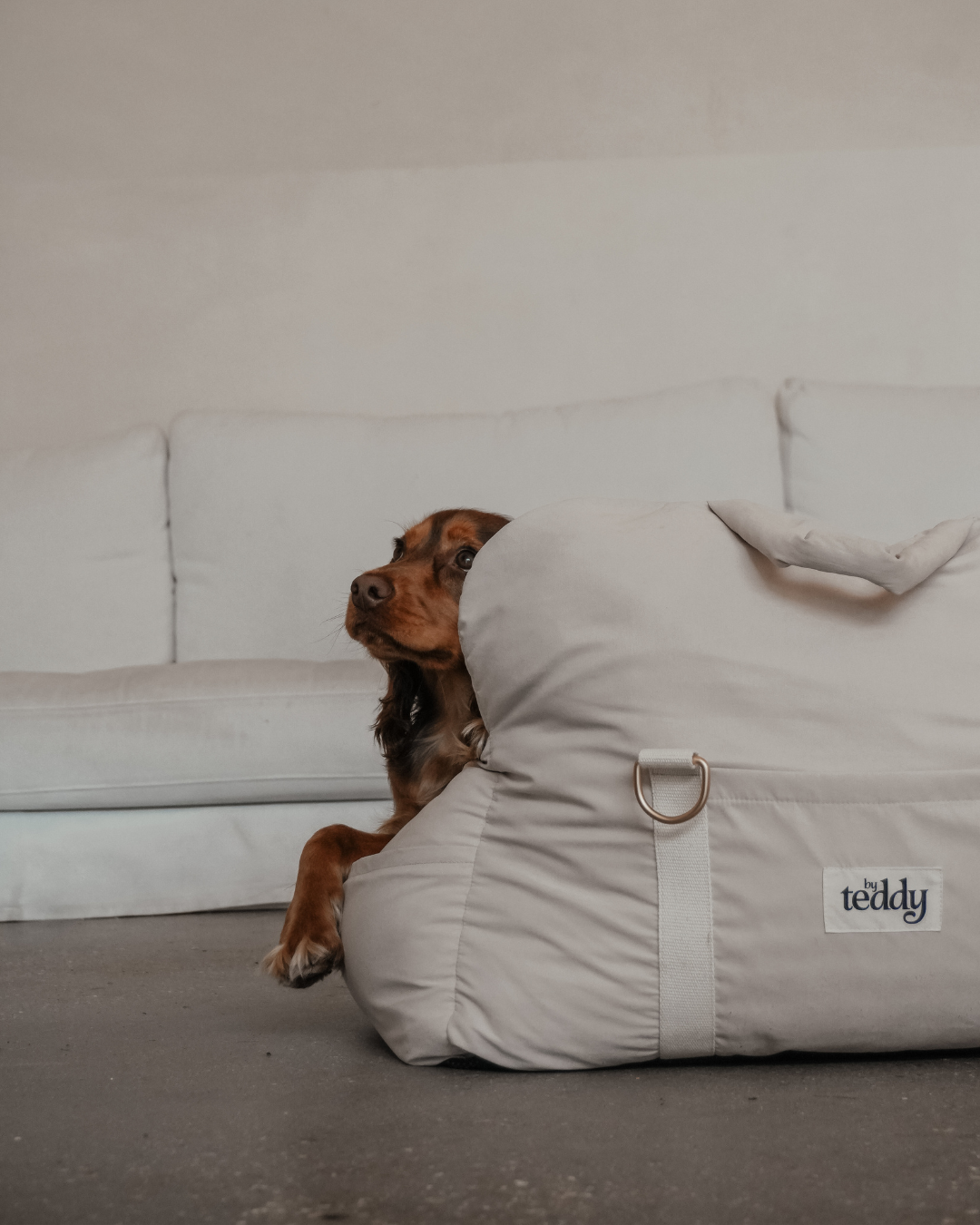 ByTeddy Puffer 3 az 1-ben hordozó, autósülés, fekhely