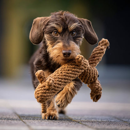 Laboni DIEGO DACKEL – The Trend Toy Every Dog Wants kutyajáték