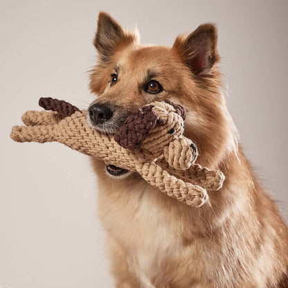 Laboni DOGGY DOG – kutyajáték