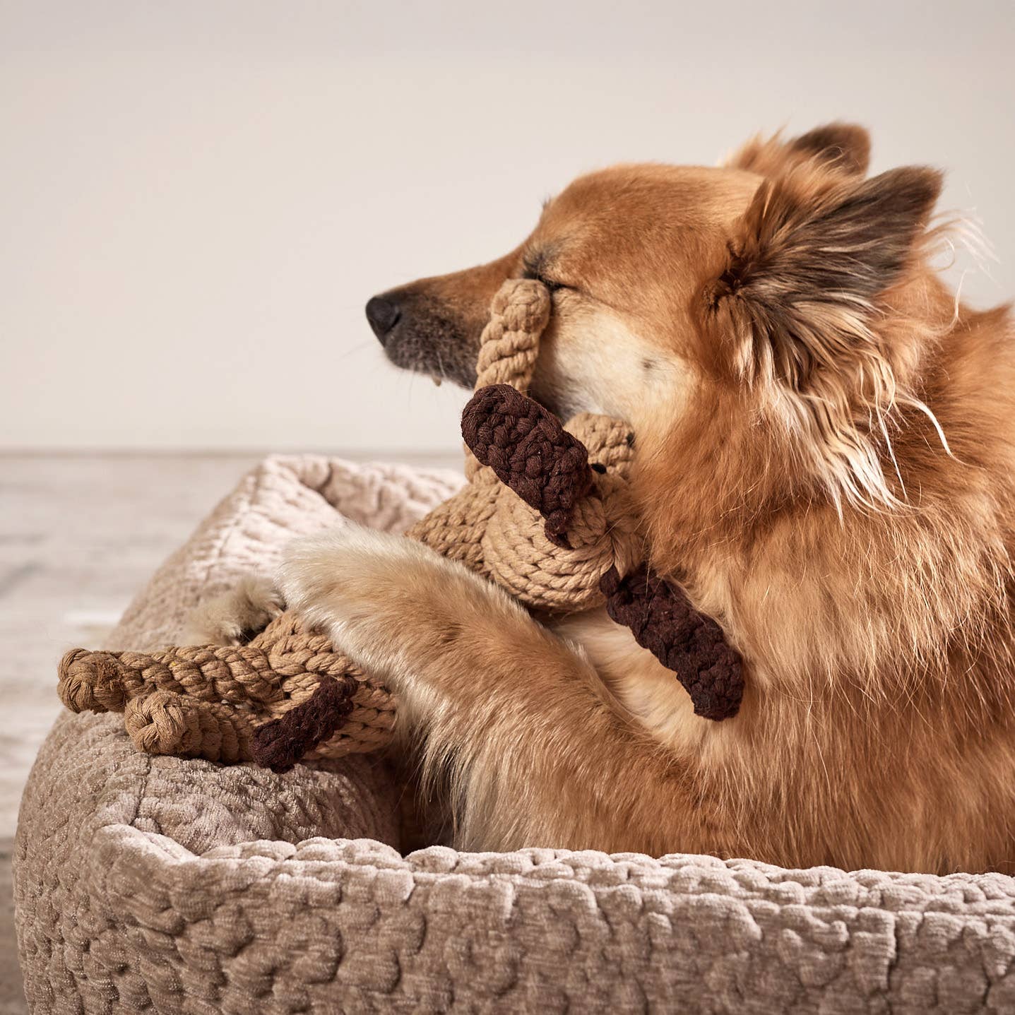 Laboni DOGGY DOG – kutyajáték