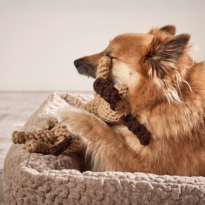 Laboni DOGGY DOG – kutyajáték