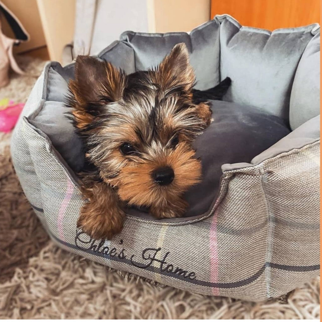 Chloe's Home LONDON EXCLUSIVE fekhely