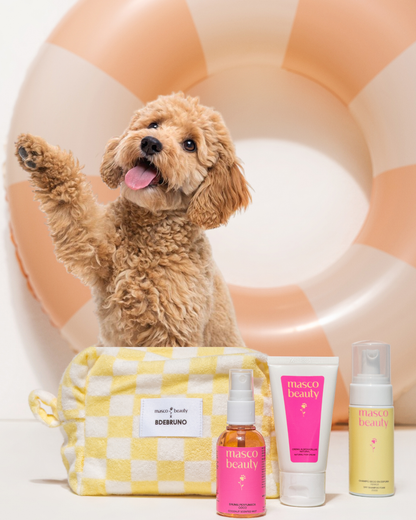 Mini Dog Essentials Set – természetes bőrápoló ajándékcsomag kutyáknak
