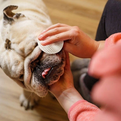 Eye Envy ránctalanító nedves törlőkendő Bulldog kutyáknak