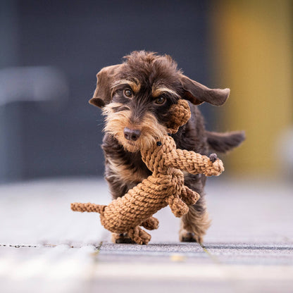 Laboni DIEGO DACKEL – The Trend Toy Every Dog Wants kutyajáték