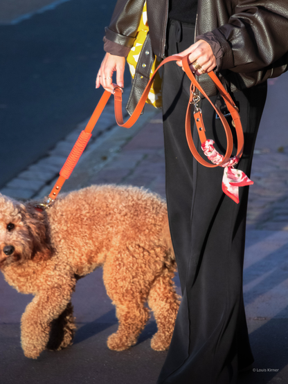 Blue Pup Hands-Free Prémium Póráz 3 az 1-ben