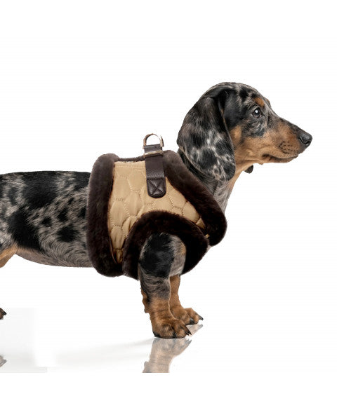 Milk and Pepper Monty téli kutyahám