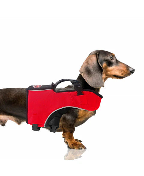 Milk & Pepper kutya mentőmellény